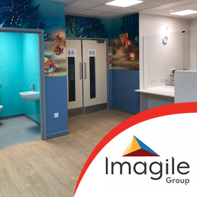 Imagile Group Darent Valley Hospital Project